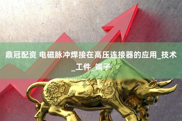 鼎冠配资 电磁脉冲焊接在高压连接器的应用_技术_工件_端子