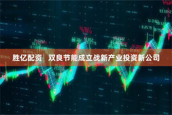 胜亿配资   双良节能成立战新产业投资新公司