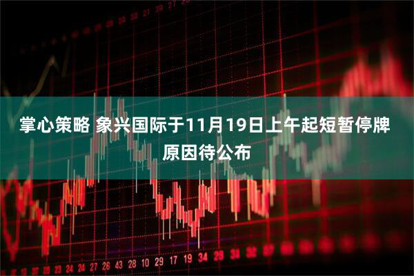 掌心策略 象兴国际于11月19日上午起短暂停牌 原因待公布