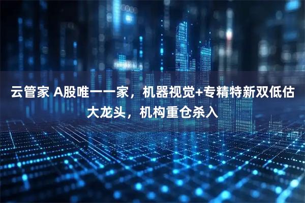 云管家 A股唯一一家，机器视觉+专精特新双低估大龙头，机构重仓杀入