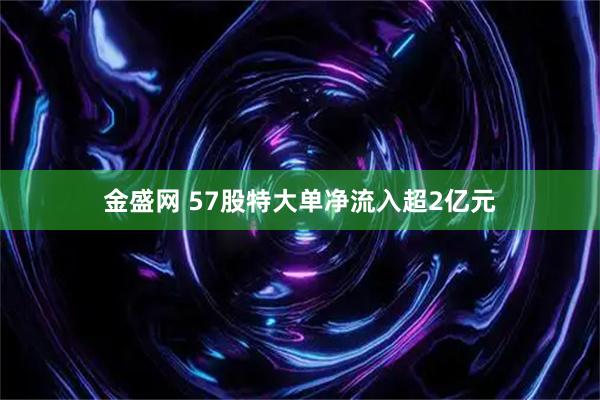 金盛网 57股特大单净流入超2亿元