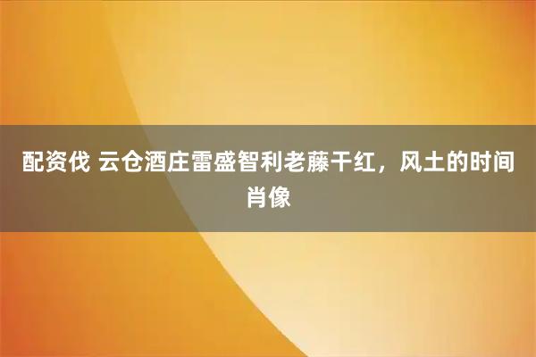 配资伐 云仓酒庄雷盛智利老藤干红，风土的时间肖像