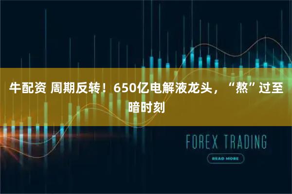 牛配资 周期反转！650亿电解液龙头，“熬”过至暗时刻