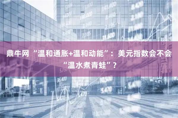 鼎牛网 “温和通胀+温和动能”：美元指数会不会“温水煮青蛙”？