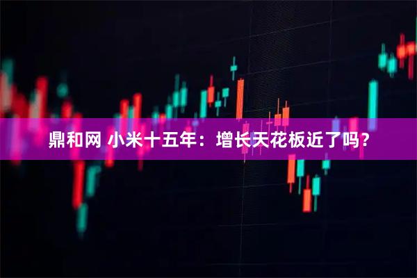 鼎和网 小米十五年：增长天花板近了吗？