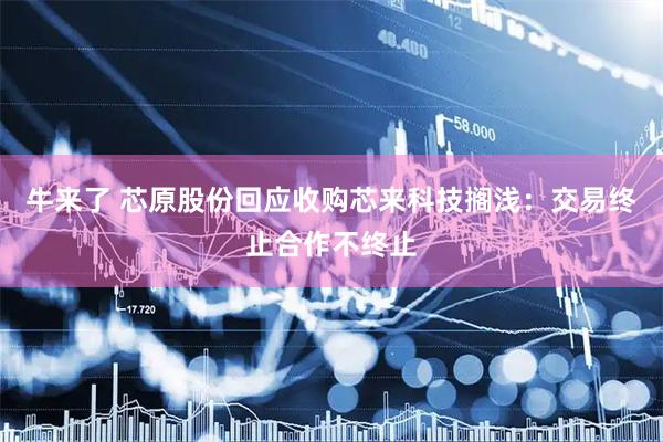 牛来了 芯原股份回应收购芯来科技搁浅：交易终止合作不终止